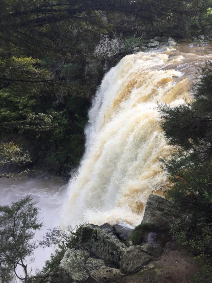 Puriridale B & B Kerikeri Zewnętrze zdjęcie
