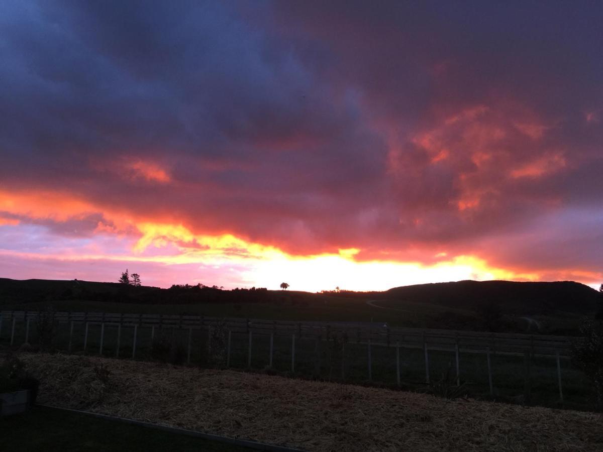 Puriridale B & B Kerikeri Zewnętrze zdjęcie