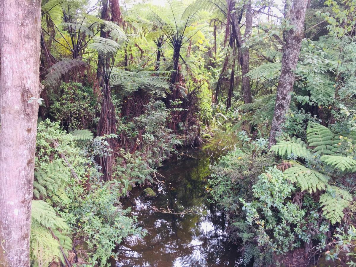 Puriridale B & B Kerikeri Zewnętrze zdjęcie