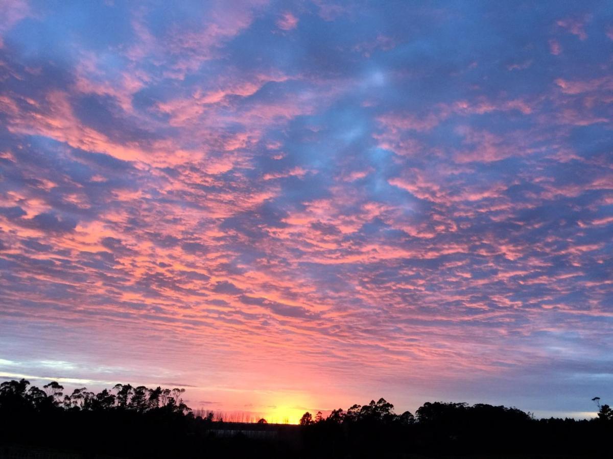 Puriridale B & B Kerikeri Zewnętrze zdjęcie